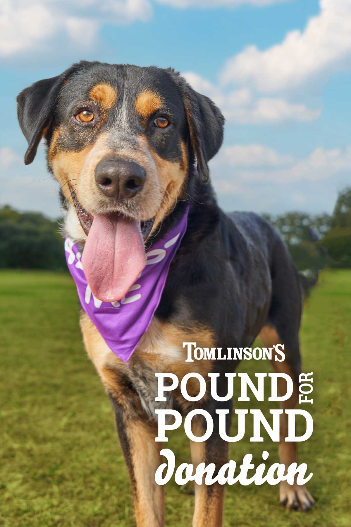 Pound4Pound Pet Food Donation